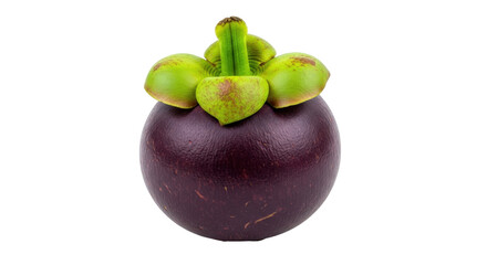 Isolated mangosteen, an exotic tropical fruit, grown in Southeast Asia and other regions of the world