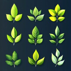 Collection of various leaves showcasing different shapes and on a background