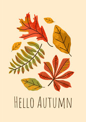 Autumn design backgrounds for cozy interior with natural elements. For personal blog or shop Layout for promotion, interior.	
