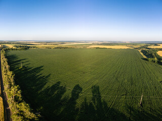 Aerial summer green farmland panoramic scenery with blue sky