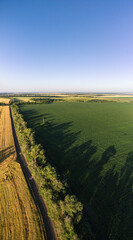 Aerial sunny farmland vertical scenery with agriculture fields and blue sky