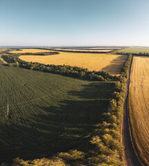 Aerial farmland panoramic view with fertile agriculture fields, golden wheat and green summer crops