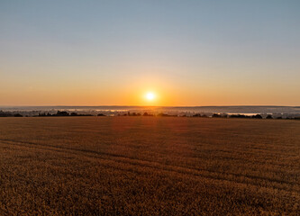 Scenic drone photo of wheat fields and rural farmland at dawn with sun rising above calm countryside landscape