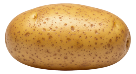 Isolated potato, food item commonly used in cooking for snacks, side dishes or main meal.