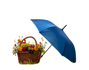  Open Blue Umbrella with Summer Picnic Essent
