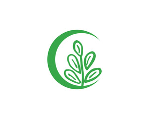 Tree leaf vector logo design, eco-friendly concept.