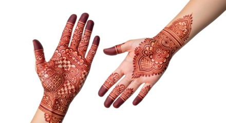 Isolated henna tattoo hands, traditional Indian Mehndi designs on female arms, no background