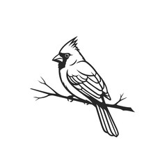 Obraz premium bird on a branch