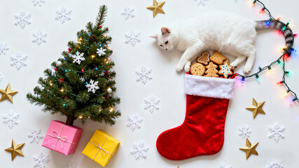 christmas stocking with gifts