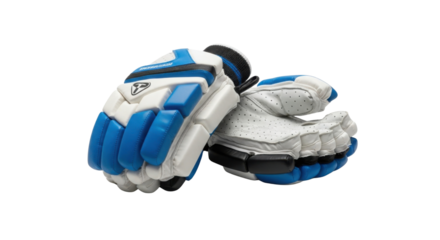 Pair of cricket batting gloves isolated PNG with Transparent Background