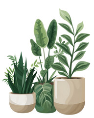 Modern botanical illustration of indoor potted houseplants