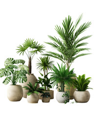 Collection of Decorative Indoor Potted Plants on Transparent Background