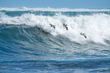 Arecibo, Puerto Rico