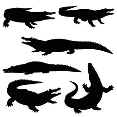 Fototapeta premium crocodiles silhouette vector set