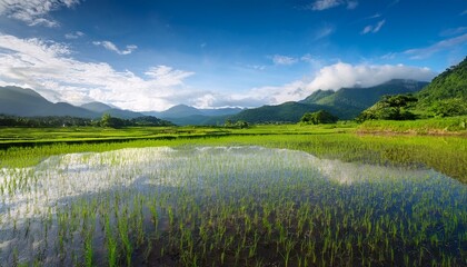 tranquil ai generated rural scene with green rice fields reflected sky and faraway mountains