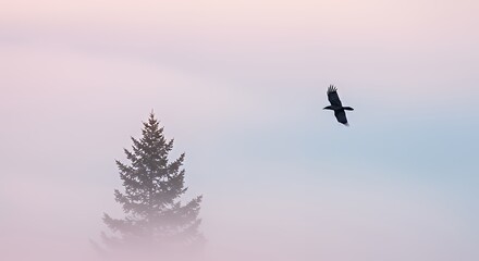 Silhouette of Bird Flying Near Tall Conifer Tree in Soft Pastel Sky
