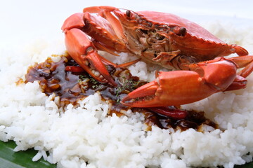 Crab in rice