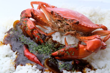 Crab in rice