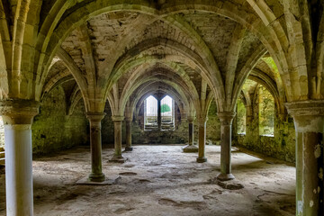 Symmetrical stone arches and vaulted ceiling in the medieval undercroft of Battle Abbey