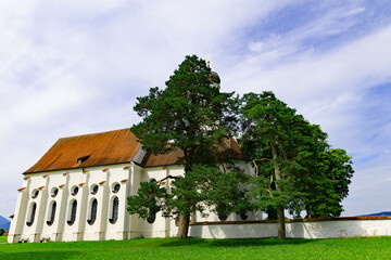 Trees around St Coloman Church, Fussen, in September.