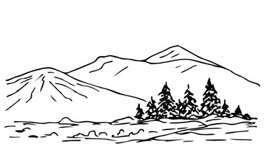 Hand drawn ink vector sketch....