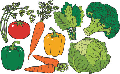 Assortment of Fresh Vegetables on a White Background food healthy