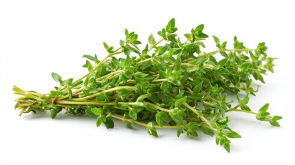 Fototapeta premium A bunch of fresh thyme lies on a white surface showcasing its lush green leaves. This aromatic herb is commonly used in cooking to enhance flavor in various dishes.