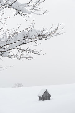 Old Wooden Barn In Foggy Snowy Mountain Village