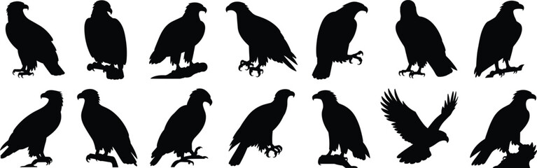 Eagle Silhouette Vector Collection, Powerful Bird of Prey Clipart, Flying and Perched Eagle Graphic, Wildlife Falcon Hawk Icons