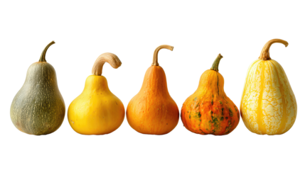 Row of five assorted autumn gourds in varied shapes and colors isolated on transparent background.
