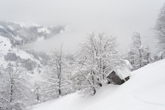 Snowy Winter Landscape With Old Wooden Cabin In Foggy Mountain Village