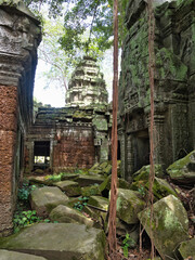 Naklejka premium Lush Jungle Temple Ruins - A hidden corner of an ancient temple, with moss-covered stones, hanging vines, and scattered blocks under the jungle canopy.