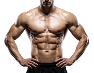 Bodybuilder Torso with Strong Chest and Abdominal Definition