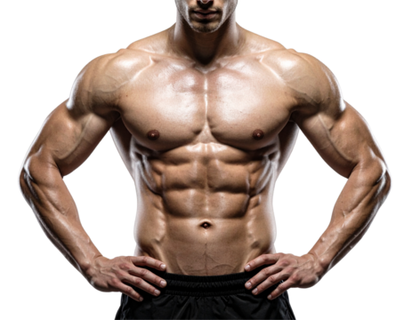 Bodybuilder Torso with Strong Chest and Abdominal Definition