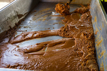 Artisanal Panela Production in Rural Colombian Sugar Mills. Fabricación Artesanal de Panela en Trapiche Rural de Colombia 