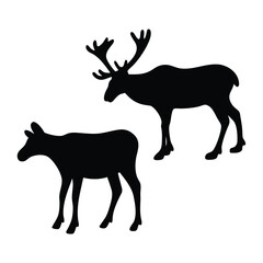 Silhouettes of a majestic bull moose with large antlers and a smaller calf on a white background