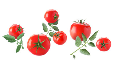 Fresh ripe tomatoes and green leaves flying in air against white background