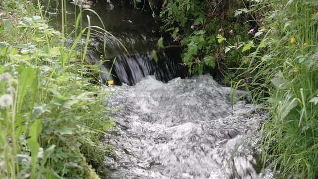 Flowing water creates a peaceful atmosphere in a lush green landscape by a stream surrounded by wildflowers