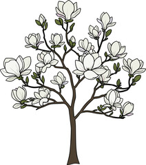 Magnolia tree illustration—white blossoms, green leaves, brown trunk and branches—vector botanical artwork, seasonal nature design, expressive floral motif