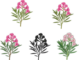 Pink blossom plant illustration set—green leaves, silhouette and realistic styles—vector botanical artwork, seasonal nature design, expressive floral motif