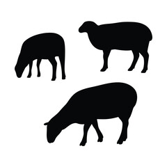 Three black silhouettes of sheep grazing and standing on a white background