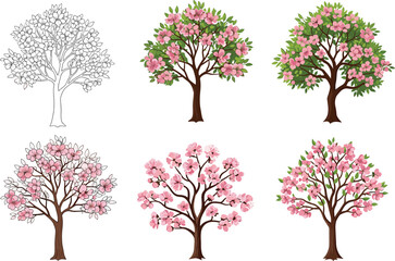 Obraz premium Pink blossom tree illustration set—green foliage, sketch to stylized bloom stages, expressive canopy styles—vector botanical artwork, seasonal nature design