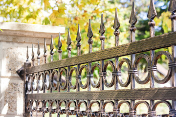 Ornamental Wrought Iron Fence. Metal Fence.