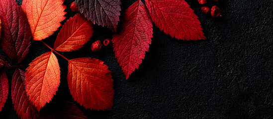 An artistic flat lay autumn arrangement featuring red and orange leaves on a chic black backdrop with ample copy space for fall themed promotions in a wide banner