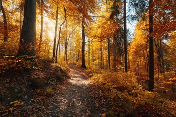 Obraz premium Autumn Trails Winding Through a Vibrant Forest of Golden Leaves