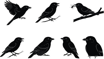 Collection of black bird silhouette vector illustrations showing flying, perching, singing, and feeding positions on branches for wildlife design