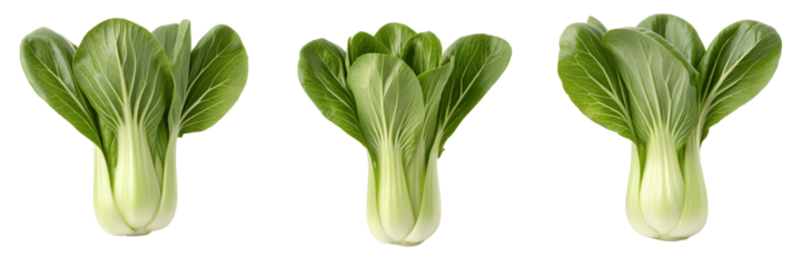 Set For bok choy vegetables isolated on transparent background, in a row