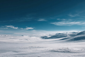 Fototapeta premium Snow landscape winter frost blue sky horizon calm mood