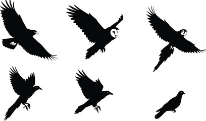 Silhouette birds flying and perched in various positions, eagle, owl, parrot, crow, raven, pigeon, dove, wildlife vector illustration design