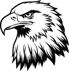 Eagle Head Portrait Illustration – Bold Graphic Line Drawing